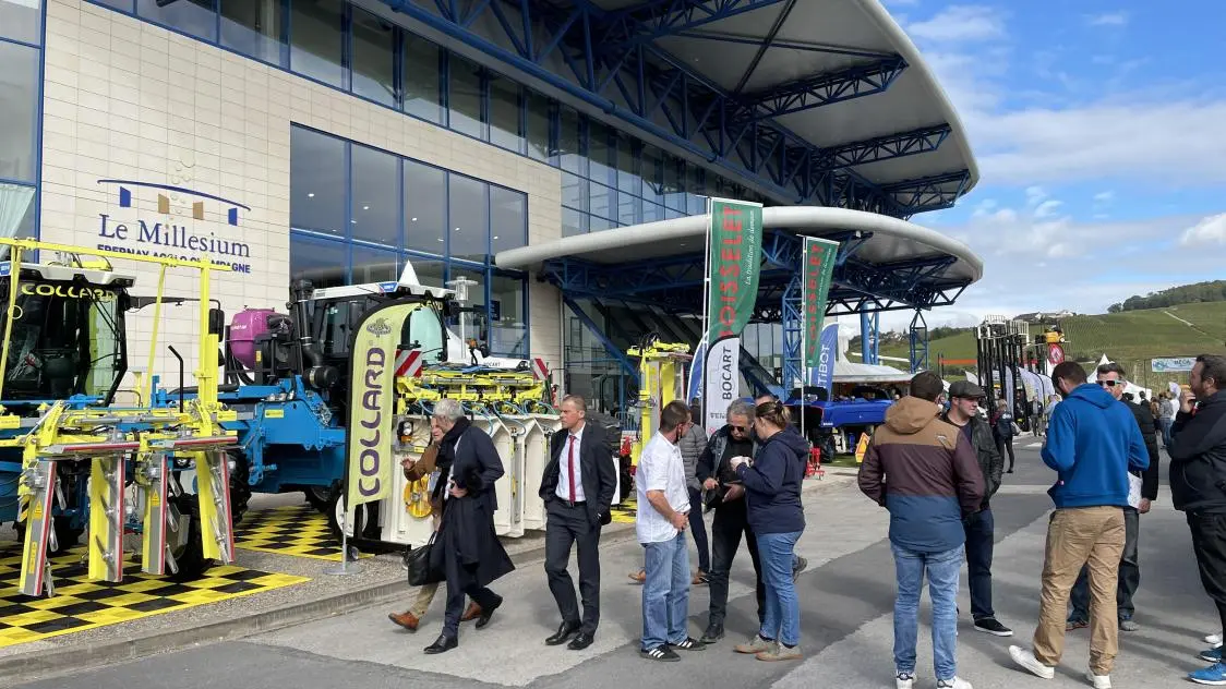 VITEFF - ENTREE DU MILLESIUM - Epernay